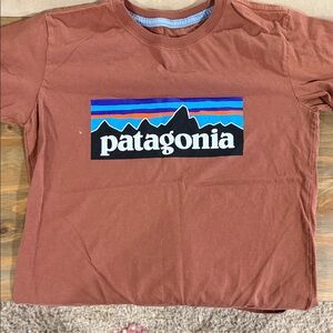 Kids Patagonia Brown Tee with Multicolor Logo
